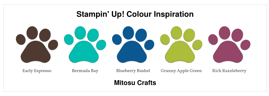 Stampin' Up! Colour Inspiration from Stitched All Around Treat Holder from Mitosu Crafts