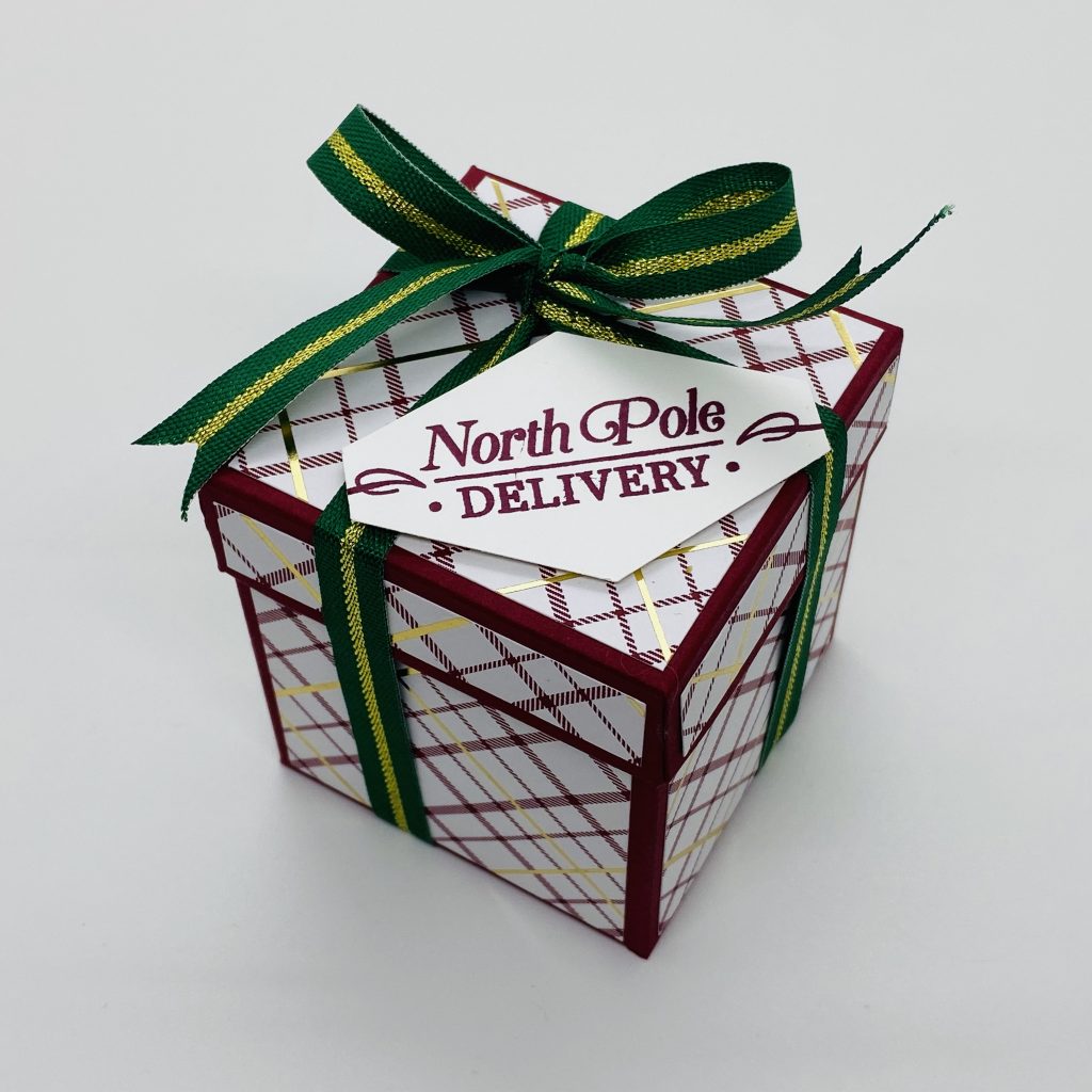 Bath Fizz Gift Box with Wrapped In Plaid DSP