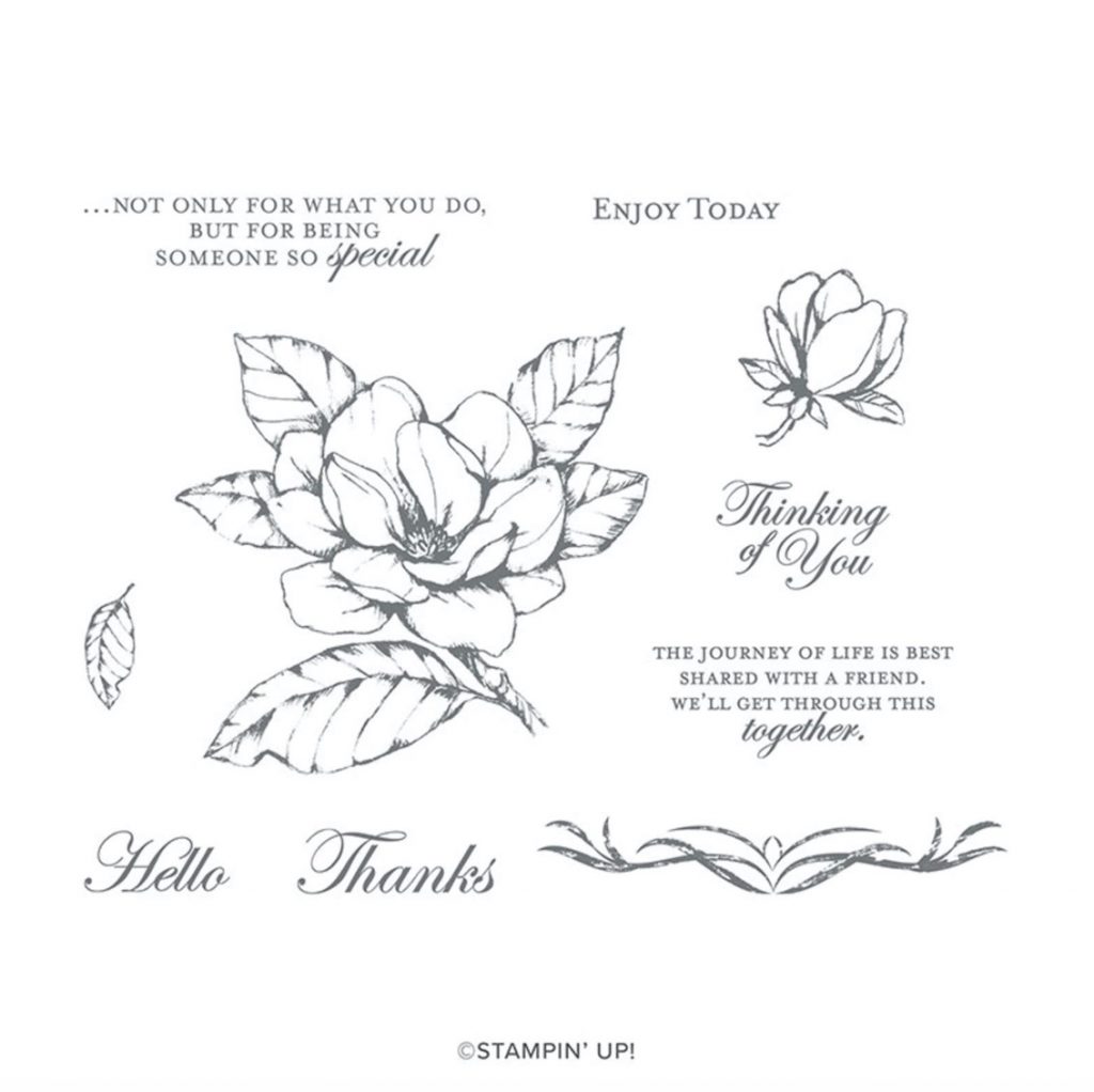 Stampin Up Good Morning Magnolia stamp set. Order online from Mitosu Crafts by Barry Selwood & Jay Soriano